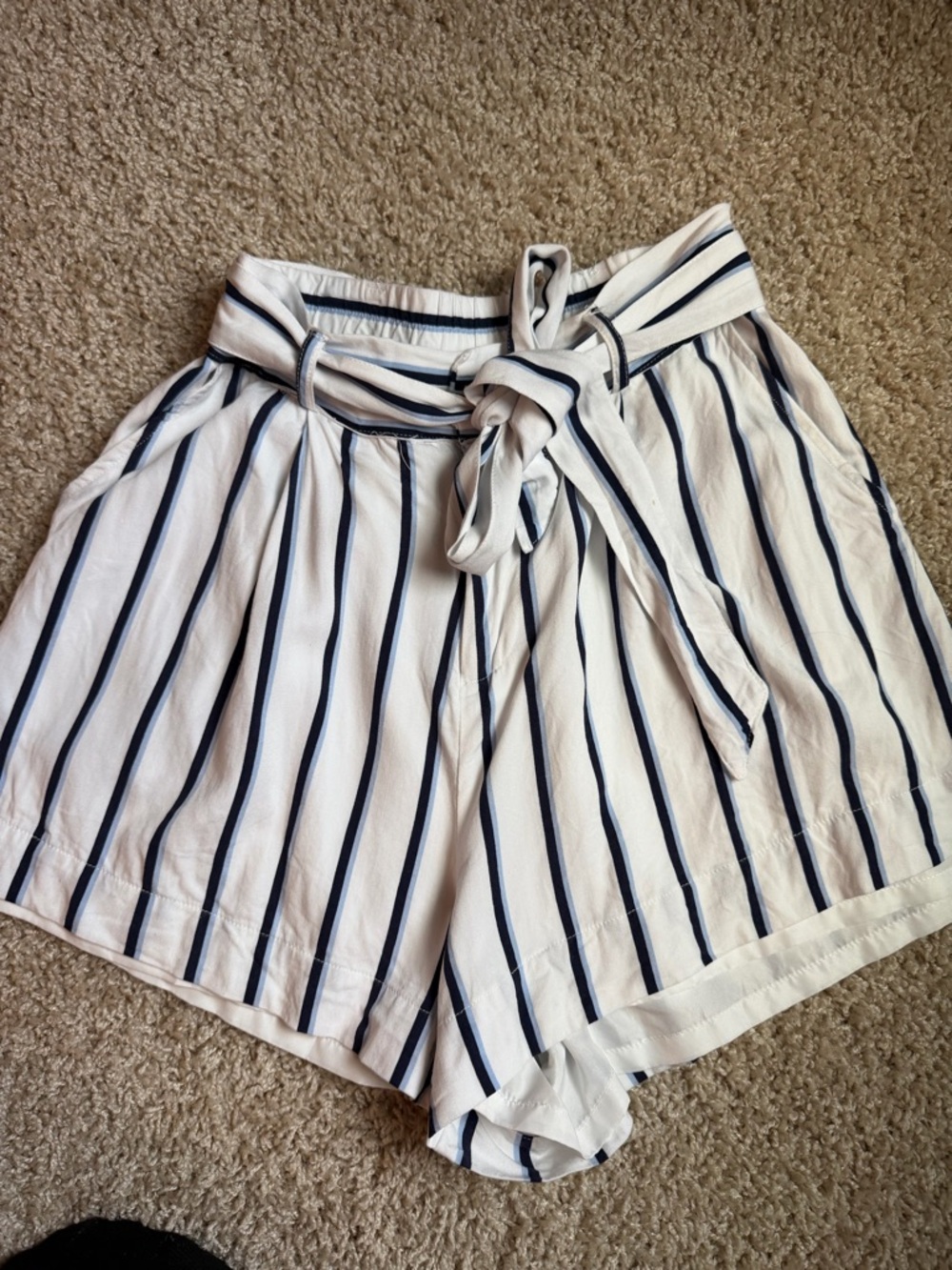 BB Dakota Dressy Shorts with belt